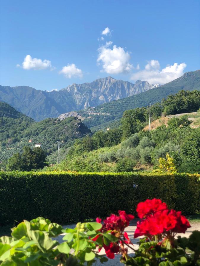 Pietrasanta Ξενοδοχείο Εξωτερικό φωτογραφία